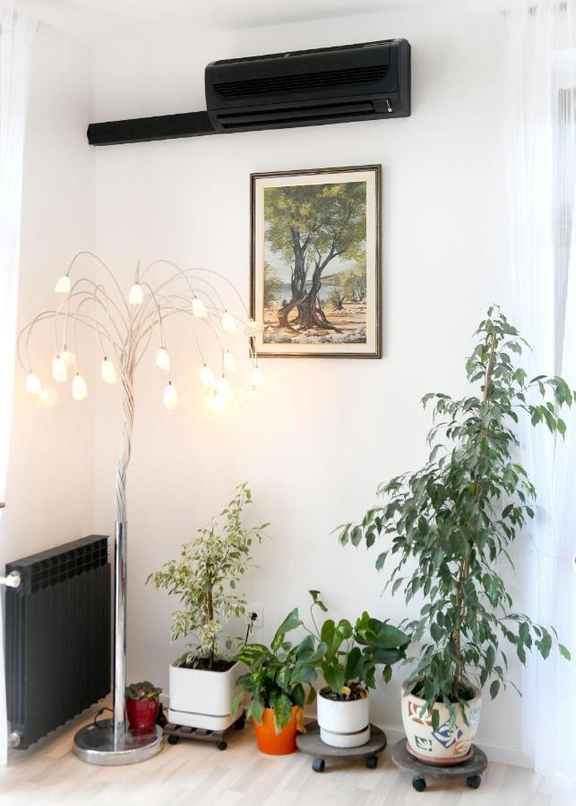 Divia Apartment Rijeka Bagian luar foto